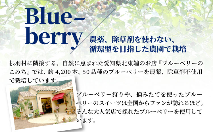 〈即日発送〉無農薬！皮ごと使用！ブルーベリー アイス(80ml)×7個入り