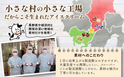 〈即日発送〉ふじりんごを丸ごと使用★信州りんごアイス 7個 マーブルアイス アイスクリーム アイス りんご ふじりんご りんごソース 5000円