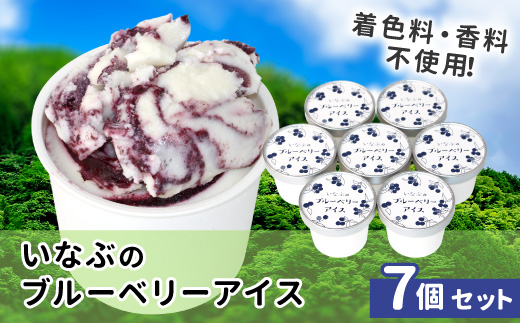 〈即日発送〉無農薬！皮ごと使用！ブルーベリー アイス(80ml)×7個入り