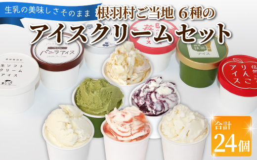 〈1週間以内発送〉根羽村 ご当地６種のアイスクリームセット 24個 生ソフトクリームアイス バニラアイス 西尾抹茶 抹茶 りんご 紅ほっぺ いちご 苺アイス ブルーベリー フレーバー 詰め合わせ 根羽村 ネバーランド 14000円