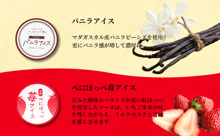 4種類のアソート B　16個入り アイスクリーム アイス バニラ マダガスカル産 ブルーベリー 稲武 紅ほっぺ 苺 いちご 紅ほっぺいちご 西尾抹茶 抹茶 牛乳 アイス ミルク 10000円 10,000円