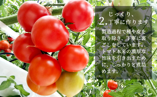 保存料・食塩・化学調味料不使用！トマト農家さんのトマトピューレ 17個 ( 320g×17個 ) トマト 野菜 ピューレ パスタソース 万能 フルティカトマト 51,000円 51000円