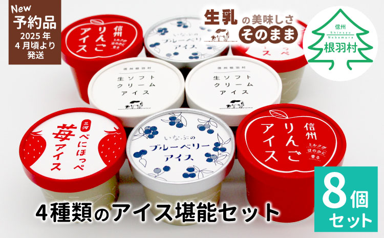 ✿新商品・先行予約✿4種類のアイス堪能８個セット 80ml 100ml  5000円 アイスクリーム アイス ミルク いちご りんご ブルーベリー