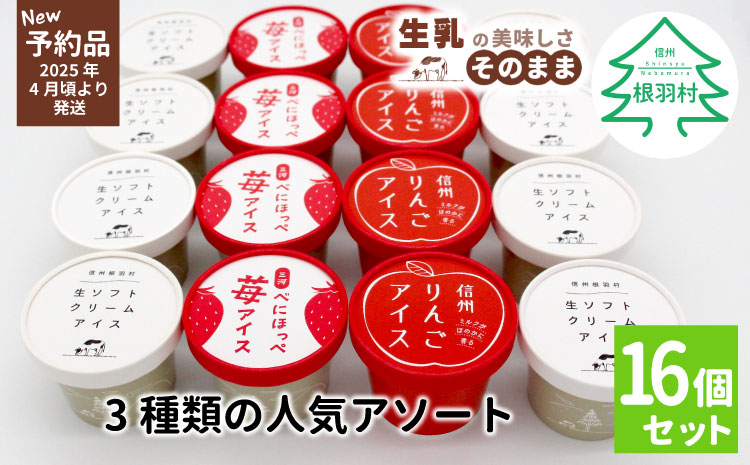 ✿新商品・先行予約✿3種類の人気アソート 16個入り 80ml 100ml　アイスクリーム アイス 生ソフト りんご 苺