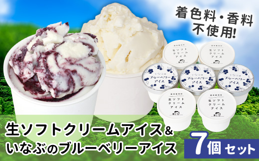 〈即日発送〉ふわっと軽い！着色料・香料不使用★ 生ソフトクリームアイス & いなぶのブルーベリーアイス　(80ml)×7個セット