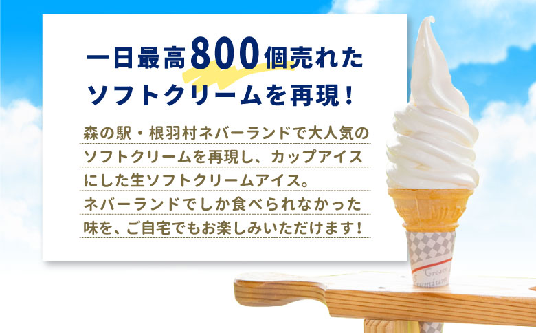 1譌・譛鬮800蛟句」イ繧後◆シ√た繝輔ヨ繧ッ繝ェ繝シ繝繧貞咲樟笘逕溘た繝輔ヨ繧ッ繝ェ繝シ繝繧「繧、繧ケ(80ml)テ24蛟