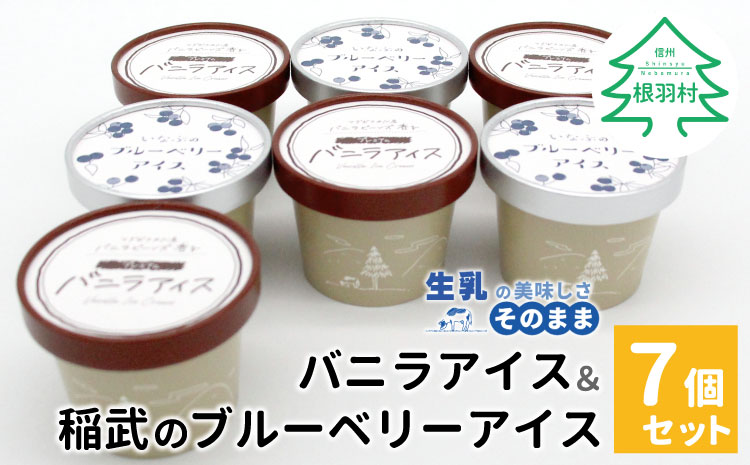 [即日発送]マダガスカル産バニラビーンズ香る!バニラアイスクリーム& いなぶのブルーベリーアイス (80ml)×7個セット 根羽村 ネバーランド 6000円
