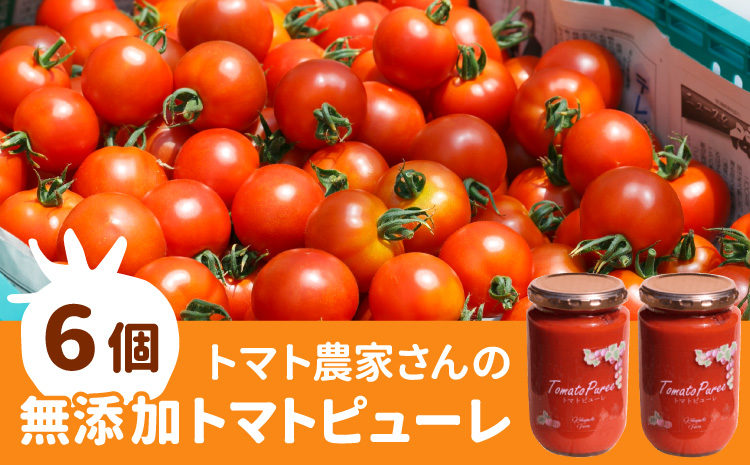 トマト農家さんのトマトピューレ!6個セット　保存料・食塩・化学調味料不使用!