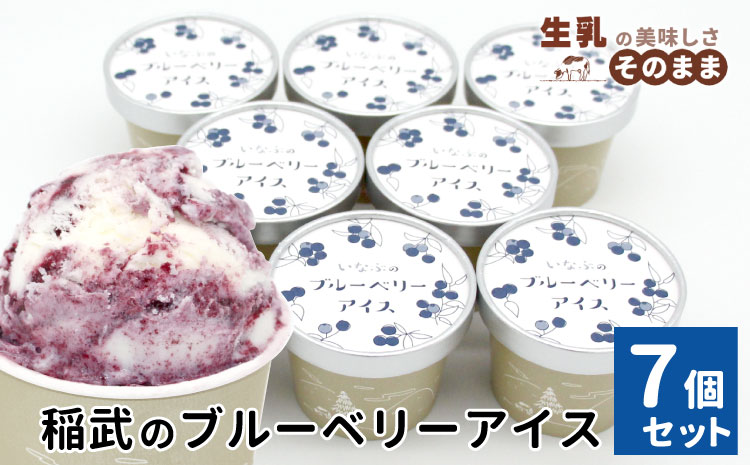 無農薬！皮ごと使用！30品種をブレンドした ブルーベリー アイス(80ml)×7個入り