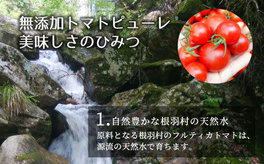 保存料・食塩・化学調味料不使用！トマト農家さんのトマトピューレ 17個 ( 320g×17個 ) トマト 野菜 ピューレ パスタソース 万能 フルティカトマト 51,000円 51000円