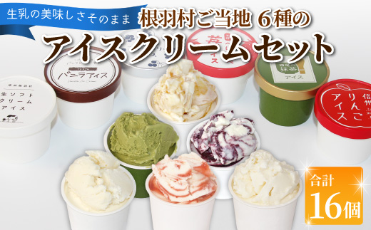 〈1週間以内発送〉根羽村 ご当地６種のアイスクリームセット 16個 生ソフトクリームアイス バニラアイス 西尾抹茶 抹茶 りんご 紅ほっぺ いちご 苺アイス ブルーベリー フレーバー 詰め合わせ 根羽村 ネバーランド 12000円