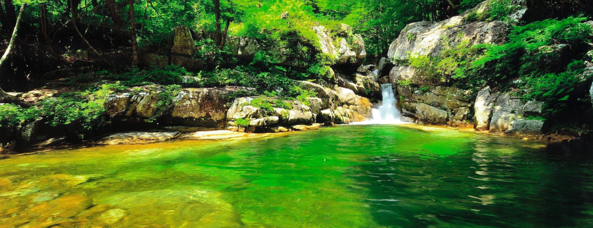 長野県根羽村