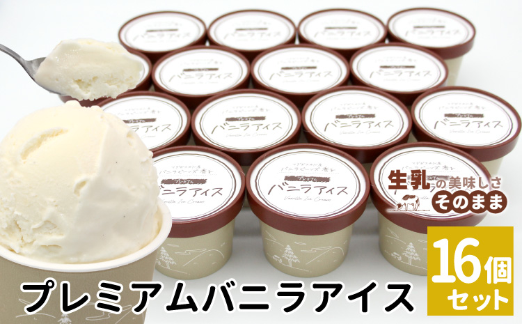 マダガスカル産　バニラビーンズ使用！バニラアイスクリーム (80ml)×16個入り