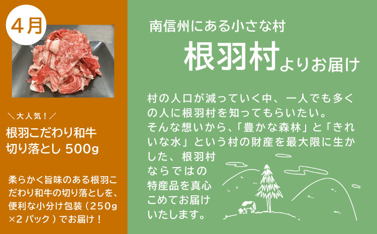 全4回 人気の返礼品が大集合★ 人気 定期便 限定 黒毛和牛 切り落とし アイスクリーム たい焼き 味付け揚げ　揚げ カレー 醤油 牛 牛肉 和牛 粒あん つぶ バニラ ミルク おつまみ おかず 20000円 20,000円 2万
