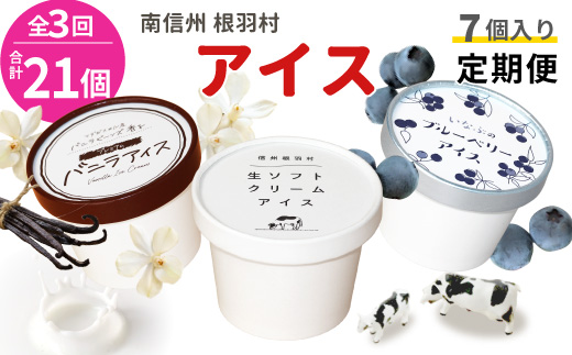  全3回〈翌月から発送開始〉3種類のアイス定期便☆ 南信州根羽村産アイス が毎月7個届く！ 合計21個 アイス アイスクリーム 定期便 生ソフトクリームアイス バニラアイス ブルーベリー 果物 ジャム 長野県 根羽村 ソフトクリーム スイーツ