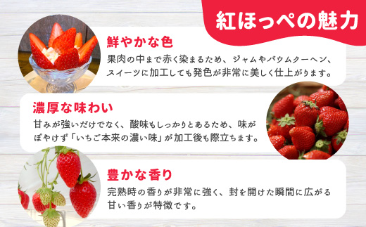 〈即日発送〉マーブルアイスの紅ほっぺいちごアイス 16個入り 80ml 5000円 アイスクリーム アイス 苺  紅ほっぺ ストロベリー