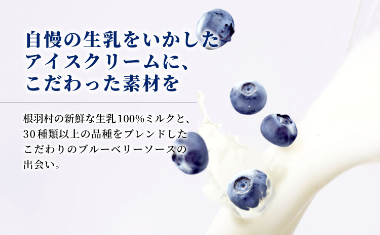 無農薬！皮ごと使用！30品種をブレンドした ブルーベリー アイス(80ml)×8個入り