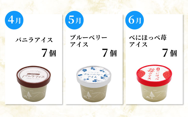  新フレーバー入り！全6回★全種類のアイスが届く！アイス定期便☆ 南信州根羽村産アイス が毎月7個届く！ 合計42個 アイスクリーム ソフトクリーム バニラ 西尾 いちご 紅ほっぺ いちご りんご ブルーベリー 抹茶 ミルク 30000円 30,000円