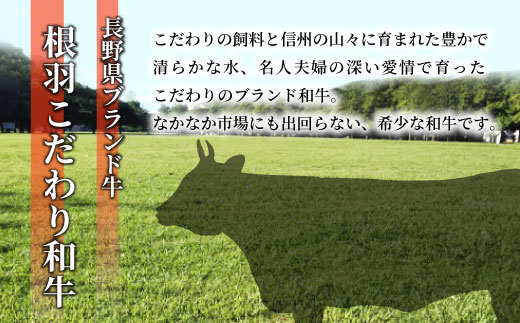 åœç£é»æ¯åç æ ¹çŸœãã ããåç ããŒã¹ã¹ããŒãçš (ãµãŒãã€ã³ã»ãªãããŒã¹)5æ(èš1kg) 黿¯åç ã¹ããŒã åç