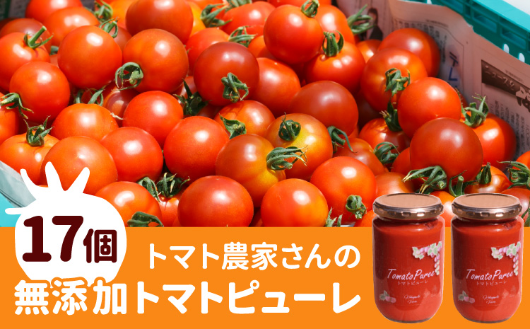 保存料・食塩・化学調味料不使用！トマト農家さんのトマトピューレ 17個 ( 320g×17個 ) トマト 野菜 ピューレ パスタソース 万能 フルティカトマト 51,000円 51000円