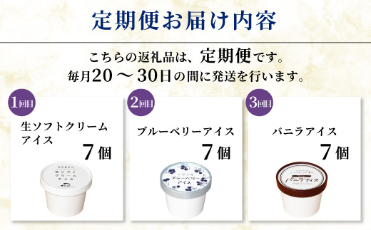  全3回〈翌月から発送開始〉3種類のアイス定期便☆ 南信州根羽村産アイス が毎月7個届く！ 合計21個 アイス アイスクリーム 定期便 生ソフトクリームアイス バニラアイス ブルーベリー 果物 ジャム 長野県 根羽村 ソフトクリーム スイーツ