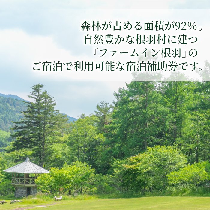 星空が自慢！選べる2プラン★コテージ一棟貸し 根羽ヴィレッジ 宿泊補助券 (15,000円分) コテージ 旅行 温泉 釣り BBQ 貸し切り 一棟貸し 自然