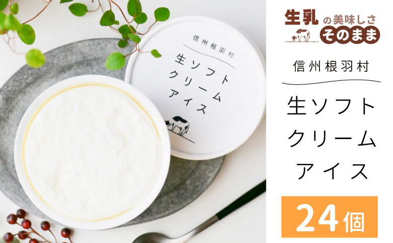 1日最高800個売れた！ソフトクリームを再現★生ソフトクリームアイス(80ml)×24個