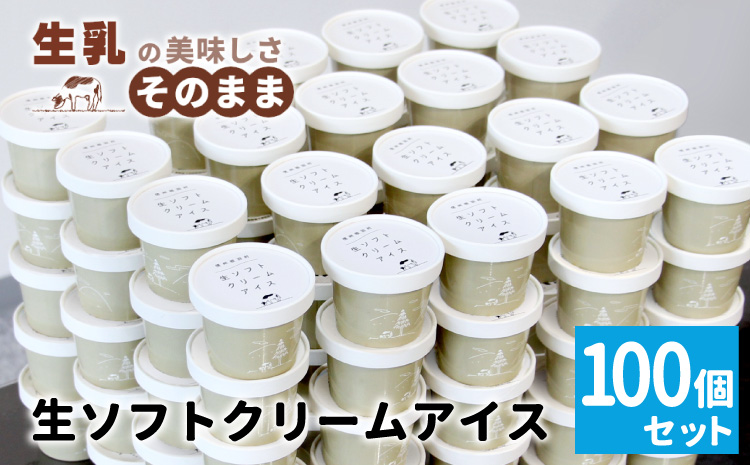 イベントやパーティにも◎生ソフトクリームアイス100個 80ml アイスクリーム ソフトクリーム デザート スイーツ