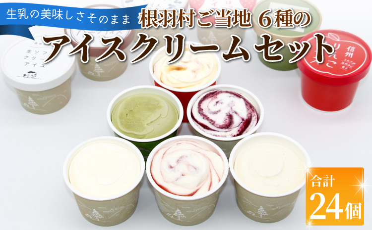 根羽村 ご当地６種のアイスクリームセット 24個 生ソフトクリームアイス バニラアイス 西尾抹茶 抹茶 りんご 紅ほっぺ いちご 苺アイス ブルーベリー フレーバー 詰め合わせ 13,000円