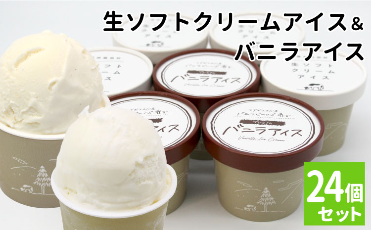 食べ比べ！乳原料南信州産100％使用！生ソフトクリームアイス&バニラアイスクリーム (80ml)×24個セット　