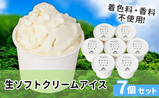 〈スピード発送〉1日最高800個売れたソフトクリームを再現！生ソフトクリームアイス(80ml)×7個　アイスクリーム　