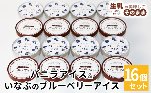〈1週間以内発送〉マダガスカル産バニラビーンズ香る！バニラアイスクリーム& いなぶのブルーベリーアイス　(80ml)×16個セット 根羽村 ネバーランド 12000円