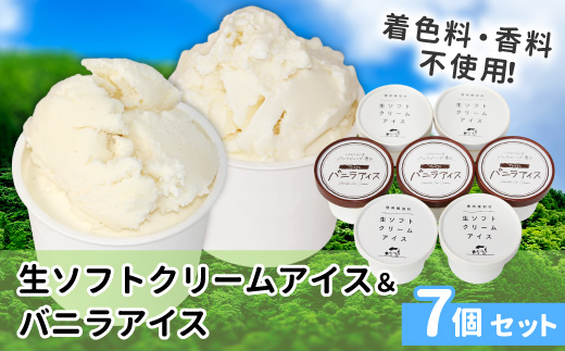 〈スピード発送〉人気NO.1★食べ比べ！乳原料南信州産100％使用！生ソフトクリームアイス&バニラアイスクリーム (80ml)×7個セット　