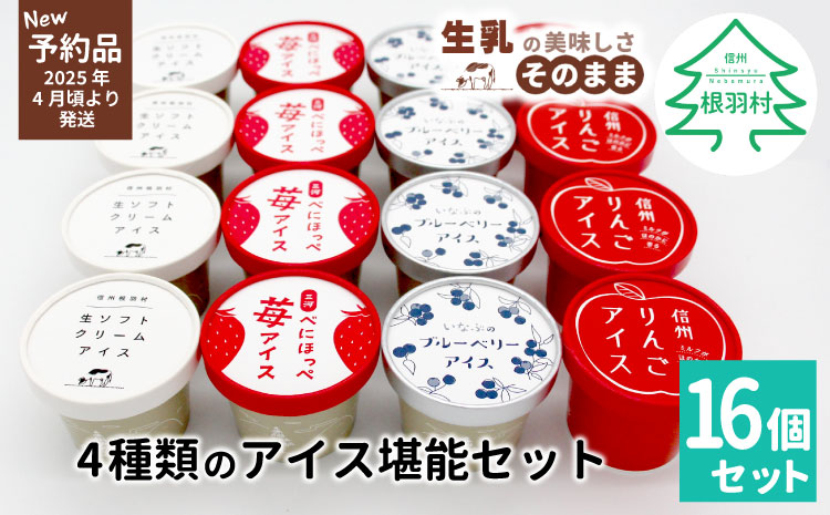 ✿新商品・先行予約✿4種類のアイス堪能16個セット 80ml 100ml  10000円 アイスクリーム アイス ミルク いちご りんご ブルーベリー  フレーバー 詰め合わせ アイス