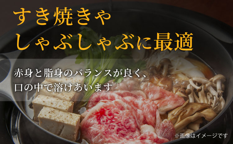 ãç¿æããçºééå§ãå
š3åâ
åœç£é»æ¯åç ãªãããŒã¹800ïœ åèš2.4ïœïœ 黿¯åç åç ããã¶ããã¶ ããçŒã éå® å®æäŸ¿ ä¿¡å· ä¿¡å·é«ååç