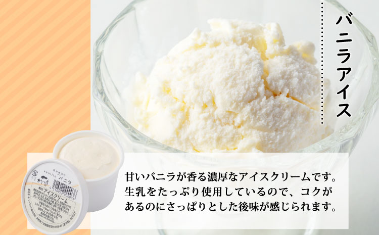 南信州産の生乳使用　バニラアイスクリーム&いちごアイス　8個セット