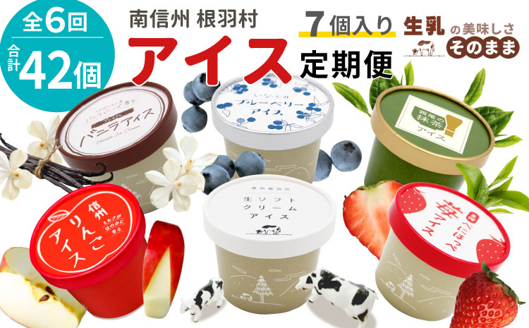  新フレーバー入り！全6回★全種類のアイスが届く！アイス定期便☆ 南信州根羽村産アイス が毎月7個届く！ 合計42個 アイスクリーム ソフトクリーム バニラ 西尾 いちご 紅ほっぺ いちご りんご ブルーベリー 抹茶 ミルク 30000円 30,000円