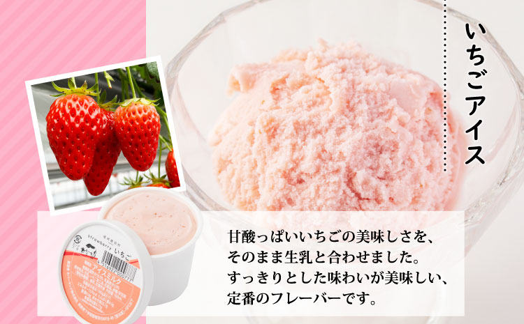 南信州産の生乳使用　バニラアイスクリーム&いちごアイス　8個セット