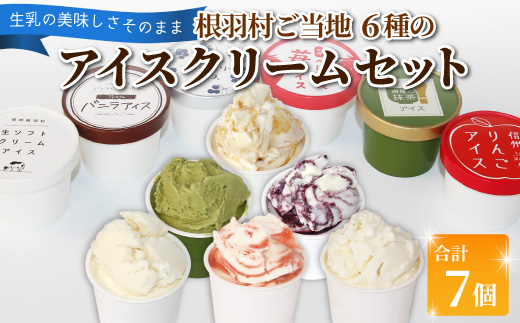 〈1週間以内発送〉根羽村 ご当地６種のアイスクリームセット 7個 生ソフトクリームアイス バニラアイス 西尾抹茶 抹茶 りんご 紅ほっぺ いちご 苺アイス ブルーベリー フレーバー 詰め合わせ  根羽村 ネバーランド 6000円