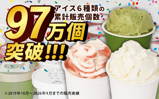  全3回〈翌月から発送開始〉3種類のアイス定期便☆ 南信州根羽村産アイス が毎月7個届く！ 合計21個 アイス アイスクリーム 定期便 生ソフトクリームアイス バニラアイス ブルーベリー 果物 ジャム 長野県 根羽村 ソフトクリーム スイーツ
