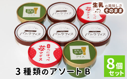 〈即日発送〉3種類のアソートB　 8個セットバニラアイスクリーム　紅ほっぺ　西尾の抹茶　いちご　アイスクリーム　ソフトクリーム　スイーツ　デザート  根羽村 ネバーランド 7000円
