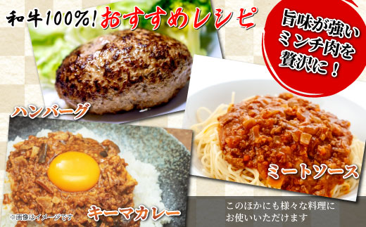 国産黒毛和牛 ハンバーグに大人気！ミンチ 1Ｋｇ（500ｇ×2） 根羽こだわり和牛 牛肉 肉 和牛