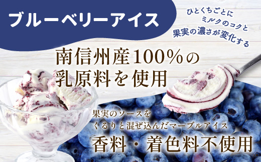  全3回〈翌月から発送開始〉3種類のアイス定期便☆ 南信州根羽村産アイス が毎月7個届く！ 合計21個 アイス アイスクリーム 定期便 生ソフトクリームアイス バニラアイス ブルーベリー 果物 ジャム 長野県 根羽村 ソフトクリーム スイーツ