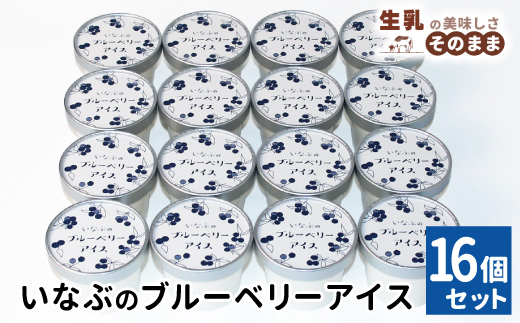 〈1週間以内発送〉無農薬・除草剤不使用！ブルーベリー アイス(80ml)×16個入り アイスクリーム ブルーベリー スイーツ 根羽村 ネバーランド 12000円