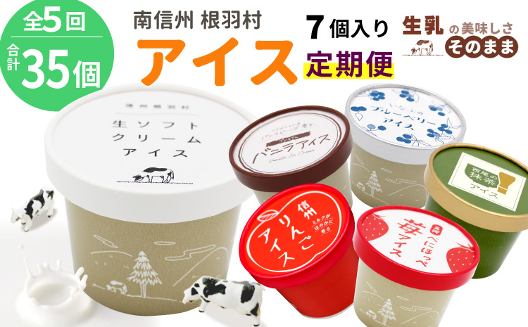 全5回★フレーバーアイス定期便☆ 南信州根羽村産アイス が毎月7個届く！ 合計35個 アイスクリーム ソフトクリーム バニラ 西尾 いちご 紅ほっぺ いちご りんご ブルーベリー 抹茶 ミルク 25000円 25,000円