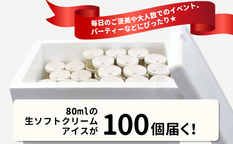 イベントやパーティにも◎生ソフトクリームアイス100個 80ml アイスクリーム ソフトクリーム デザート スイーツ