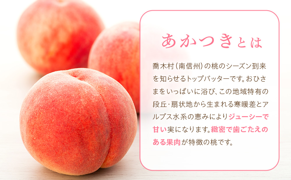 春夏秋冬たかぎフルーツリレー 【令和8年度以降発送先行予約】