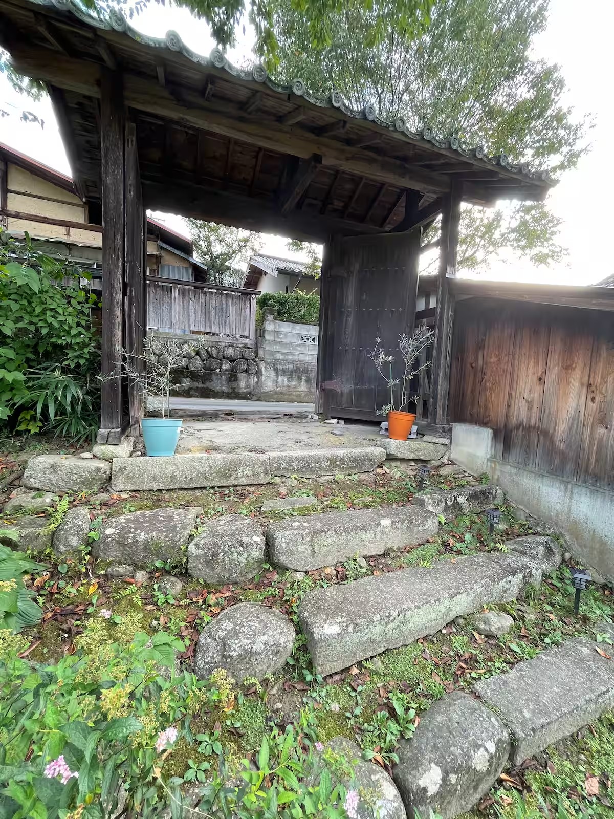 1çµéå®ã®å®¿ã倿°å®¶æ°å®¿ãªãªãŒããããªãªãŒããªãŒããã£ãŒã®è©Šé£²ãšé¢æ€ããªãªãŒãã®ãåç£ä»ãïŒæ³ãã©ã³ïŒ1åïœ4åïŒãã