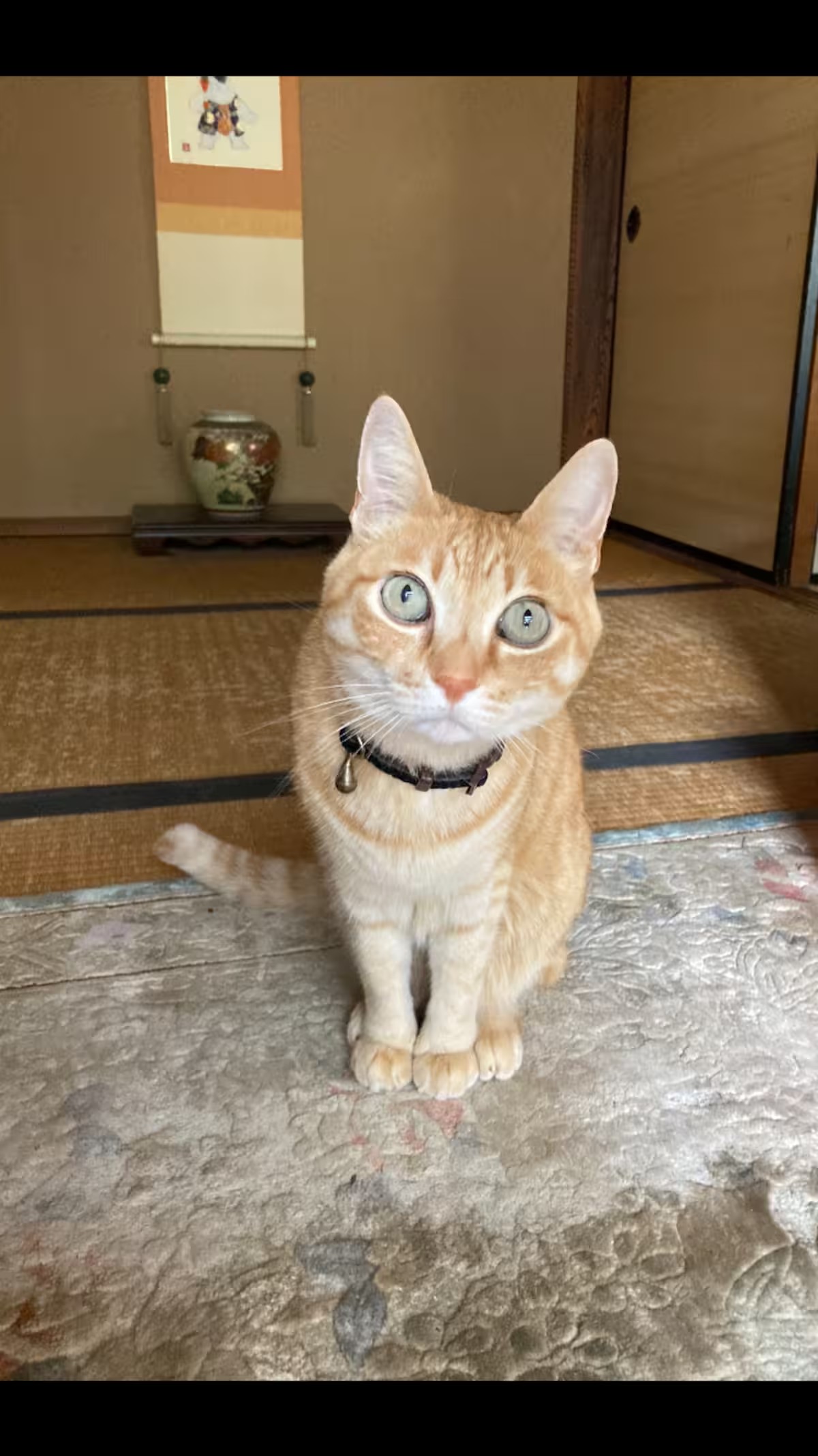 1çµéå®ã®å®¿ã倿°å®¶æ°å®¿ãªãªãŒããããªãªãŒããªãŒããã£ãŒã®è©Šé£²ãšé¢æ€ããªãªãŒãã®ãåç£ä»ãïŒæ³ãã©ã³ïŒ1åïœ4åïŒãã