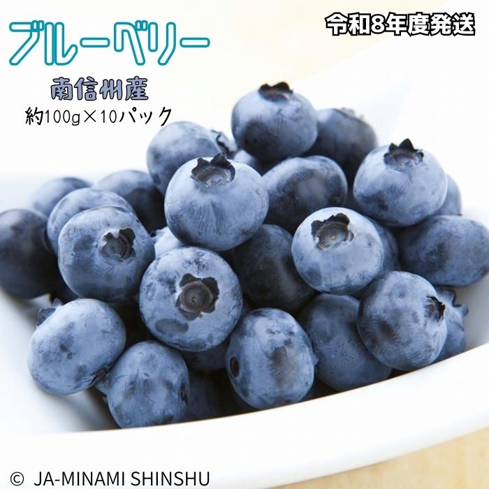 ブルーベリー 秀3L 100gパック×10入り